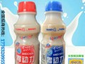 340ml傳暢胃動(dòng)力乳酸菌飲料廠家招商招代理