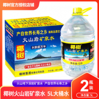 椰樹(shù)火山巖礦泉水天然礦泉水