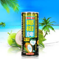 椰樹(shù)椰汁正宗椰樹(shù)牌椰子汁植物蛋白飲料245ml*24罐